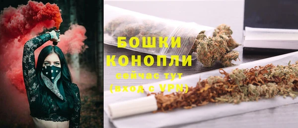 молекула духа Зеленокумск