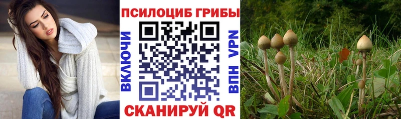 Купить закладки  Игарка  Галлюциногенные грибы мухоморы 